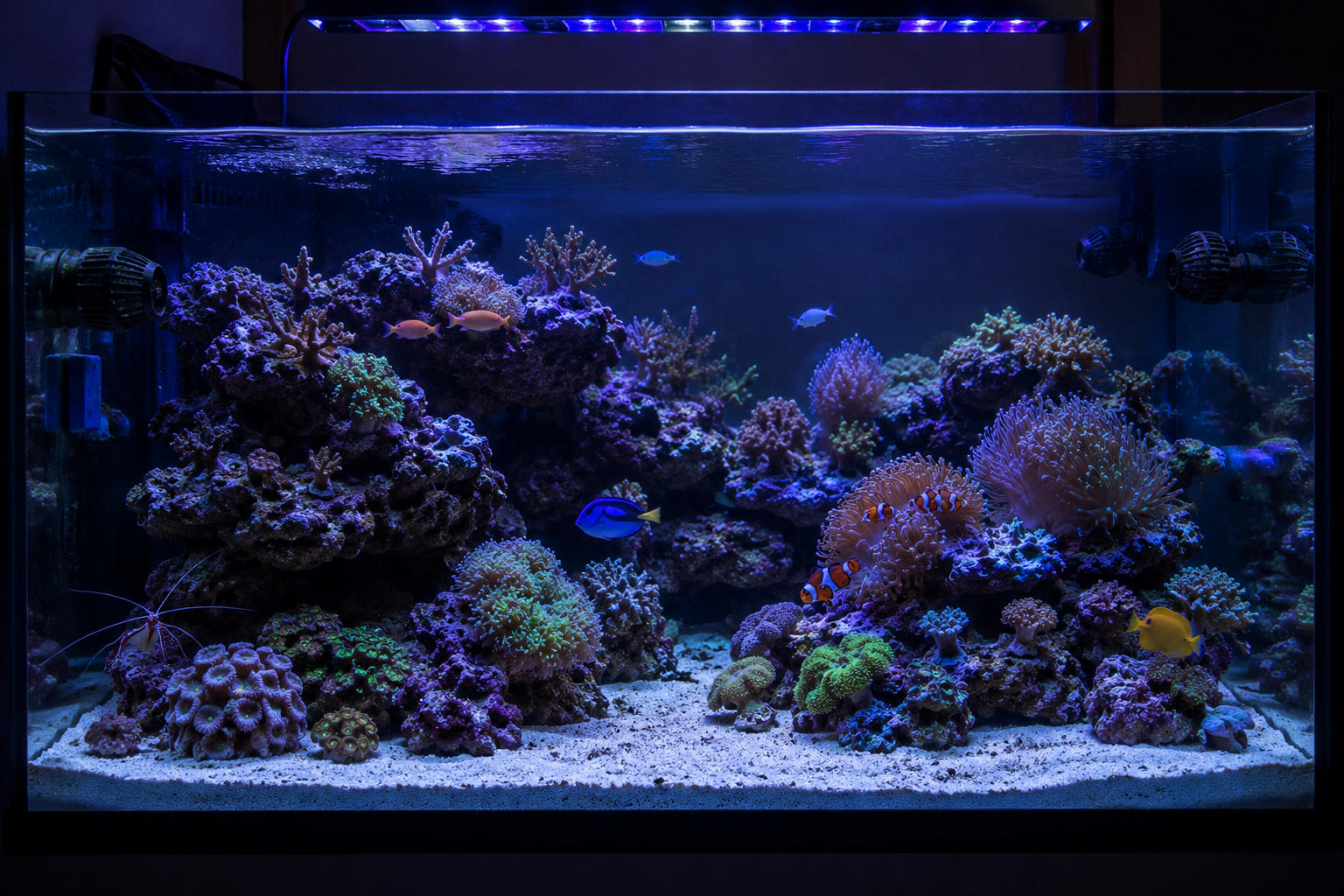 Aquariums app screenshot